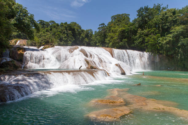 istock Agua Azul Waterfalls - Chiapas (Mexico) 2191242259