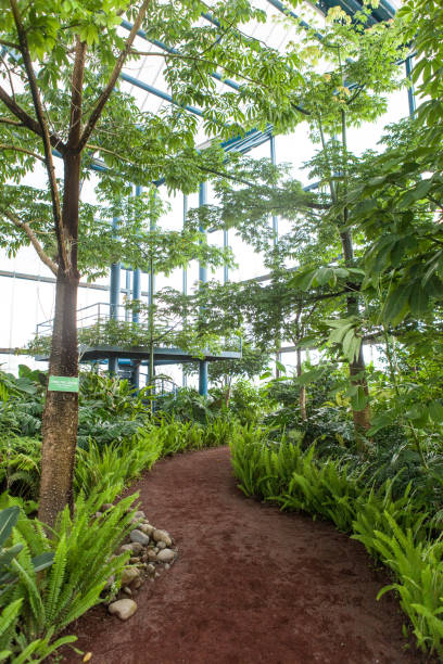 istock Bicentennial Park, in Mexico City 2191243274