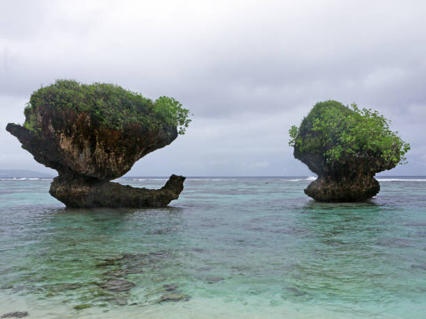 istock Mushroom Rocks in turquoise water 2191245429