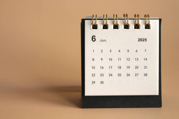 istock Monthly calendar template 2025 2191248979