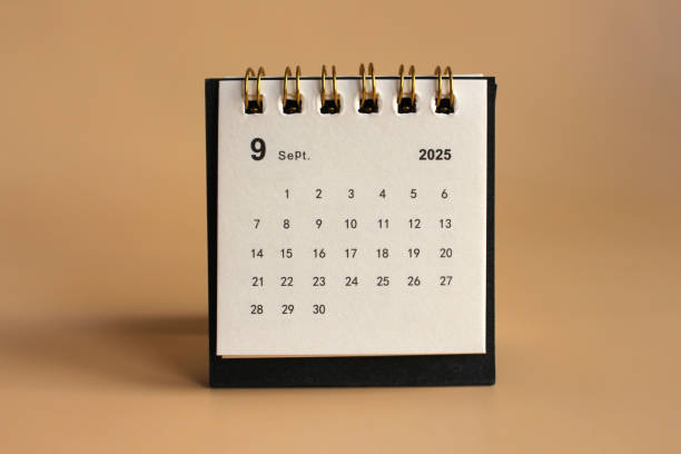 istock Monthly calendar template new year 2025 2191249138