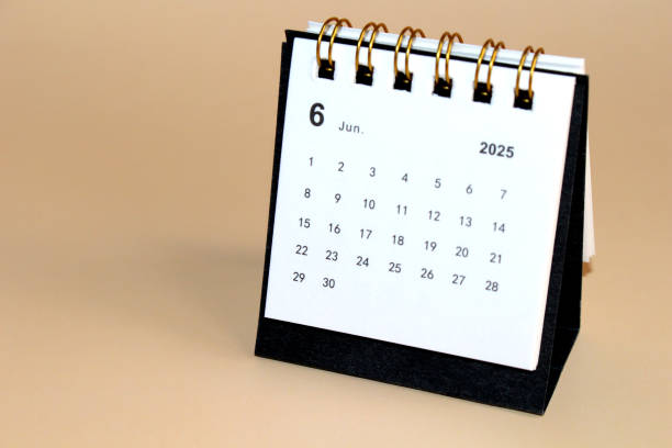 istock Monthly calendar template new year 2025 2191249163