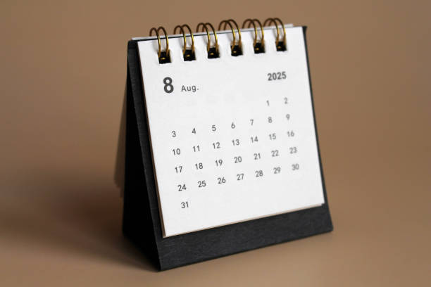 istock Monthly calendar template new year 2025 2191249209