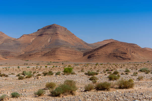 istock Desert valley in the Moroccan countryside 2191257924