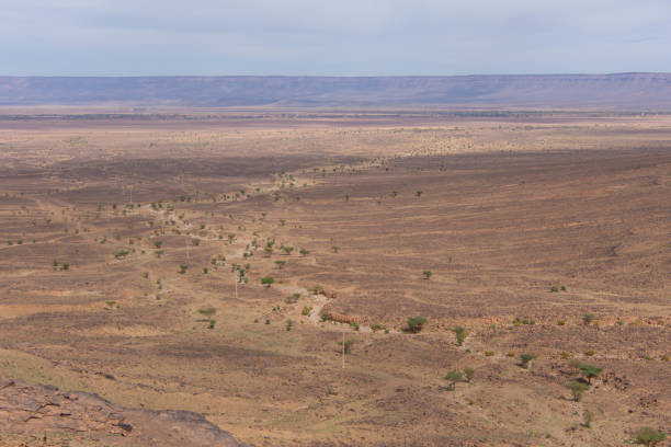 Namib Desert. Sossusvlei.