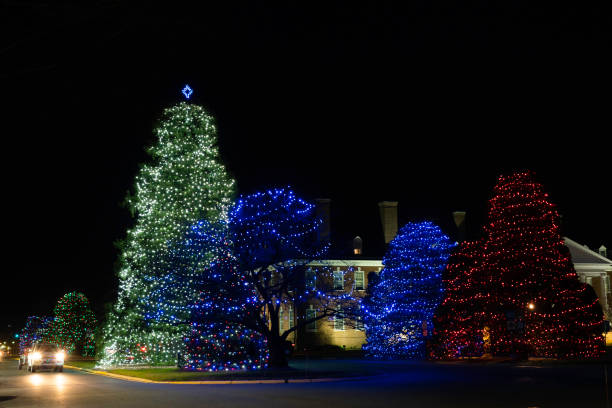 istock Christmas trees lit up at night 2191262246