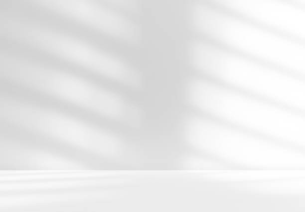 istock Empty white room studio with shadow of shutters window for product Minimal winter backdrop. 2191264272