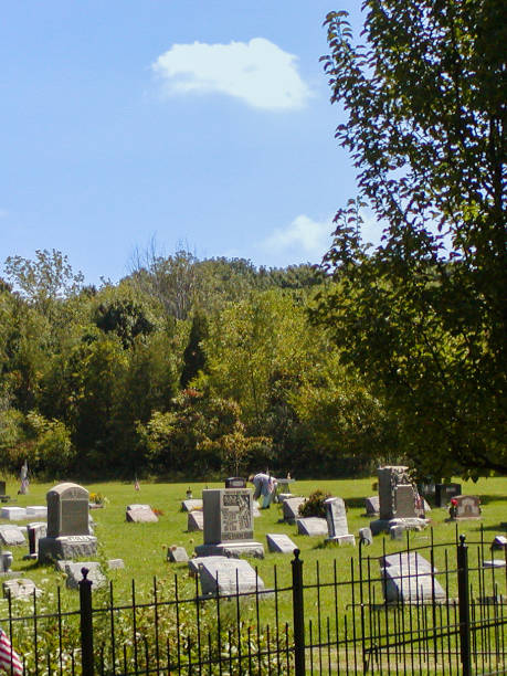 Memorial stones in a tranquil cemetery surrounded by lush greenery on a sunny day