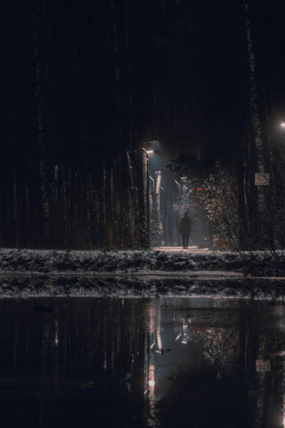 istock Night Silhouette on an Illuminated Forest Alley 2191269816