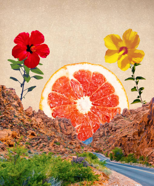 Minimal landscape collage with road, mountain and sun. Abstract textured background