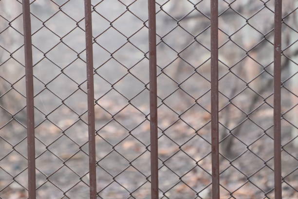 This image showcases a closeup view of a rusty chain link fence set against a beautifully blurred, natural background