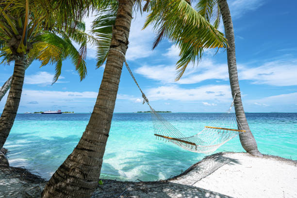 istock Hammock hanging between two palm trees on the tropical paradise beach 2191279267