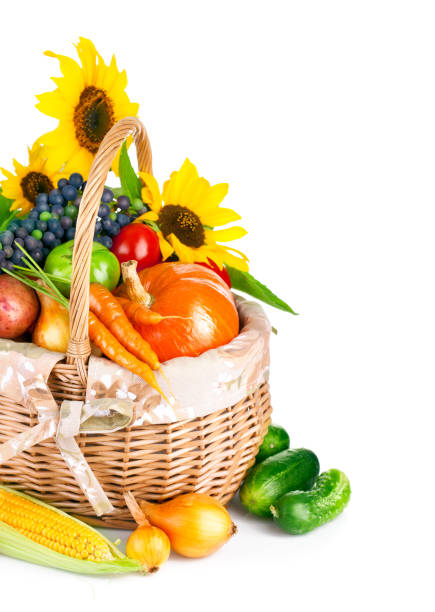 jpg2013080917114753373 autumnal harvest vegetable and fruit in basket isolated on white background