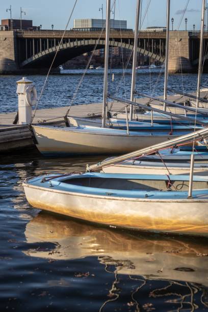 Sailboats docked at a marina with a bridge in the background, reflecting on the calm water under a clear sky.