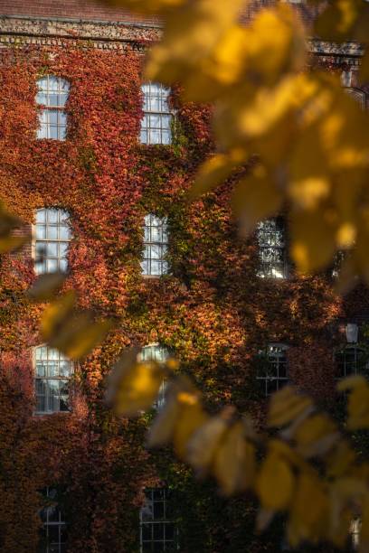 istock Autumn leaves on a brick facade 2191281753