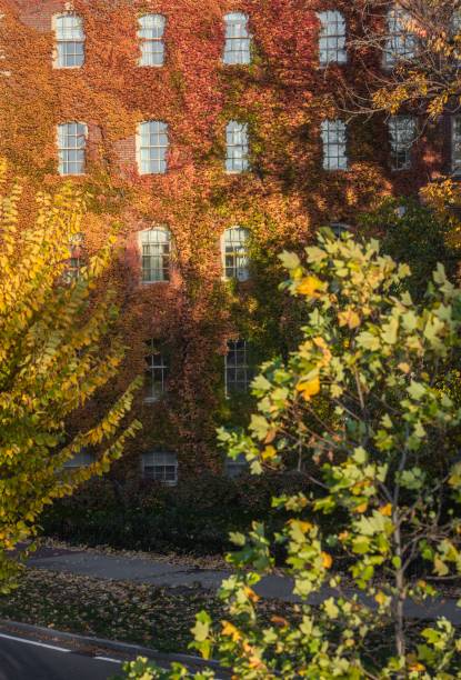 istock Building facade with autumn ivy and vibrant foliage. 2191281756