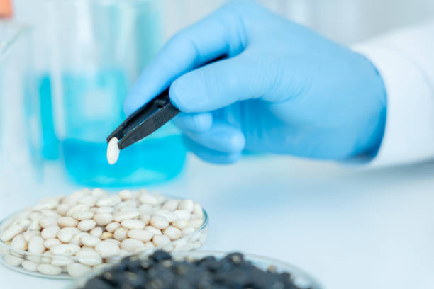Scientist check chemical whole grains residues in laboratory. Control experts inspect the concentration of chemical residues. hazards, standard, prohibited substances, contaminate, Microbiologist