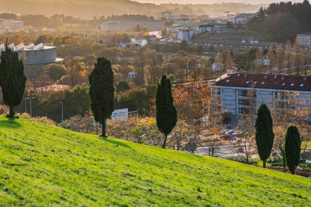 Santiago de Compostela, Spain – December 11, 2024: Scenic view of a hillside park with trees overlooking a cityscape at sunset in Santiago de Compostela, Spain.