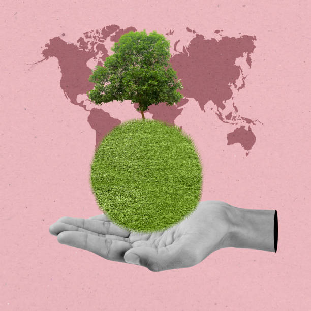 istock The human hand shows a green tree on the field on her palm with a colored background 2191300909