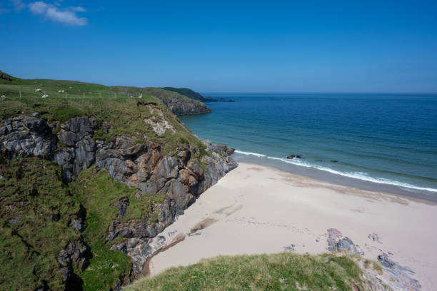 Grassy dunes and rocky outcrops meet the sea under a bright blue sky on llanddwyn island
