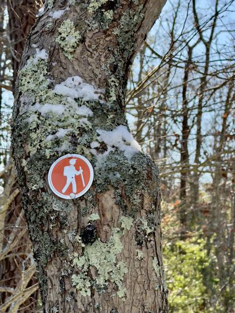 istock Orange dot hiking in winter 2191303222