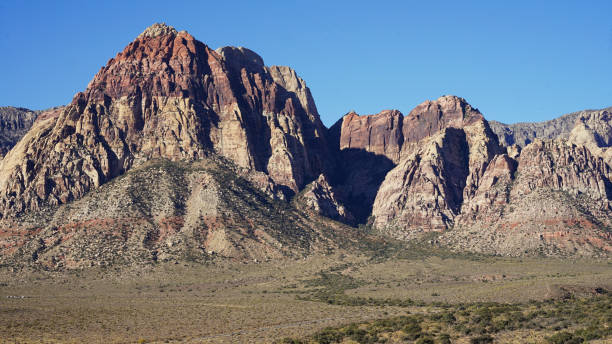 istock Plants, Joshua trees and Mountains in Red Rock Canyon 2191303697