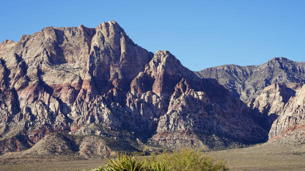 istock Plants, Joshua trees and Mountains in Red Rock Canyon 2191304159