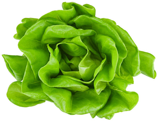 istock Green butter head lettuce leaves. Completely in focus. Focus stacking. Top view. 2191306945