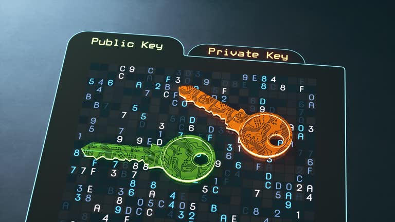 7,600+ Cryptography Key Stock Videos and Royalty-Free Footage - iStock