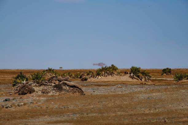 istock desert landscape at the Ethiopian Afar region 2191308759