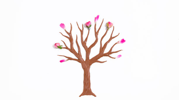 Pink flowers bloom on a bare tree without leaves molded from plasticin. Brown trunk and branches isolated on white background. Springtime concept.