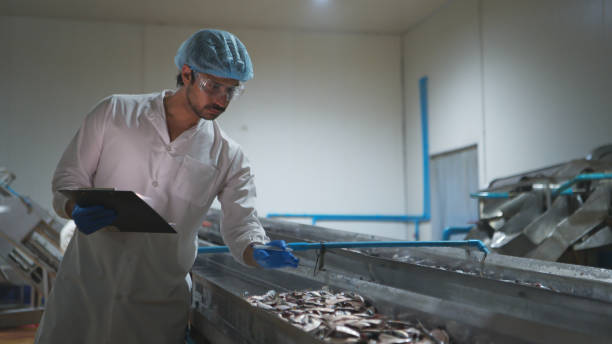 istock Raw material quality inspectors evaluate and inspect fish pieces before they enter the canned fish production process 2191311545