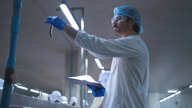 istock Raw material quality inspectors evaluate and inspect fish pieces before they enter the canned fish production process 2191311565