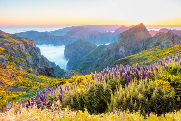 istock View from Pico do Arieiro, Portugal 2191312195