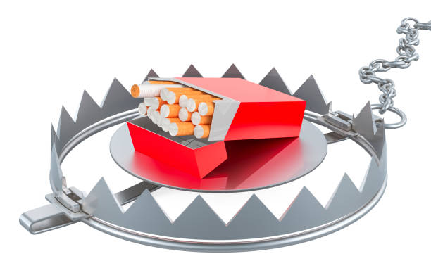 istock Nicotine dependence, tobacco addiction, concept. Cigarette pack inside bear trap, 3D rendering 2191314043