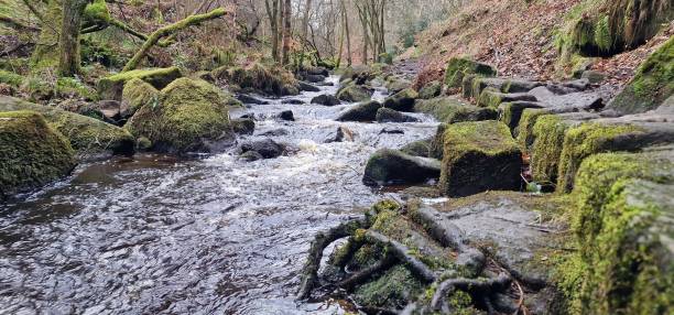 istock Wyming Brook Nature Reserve Derbyshire UK 2191316076