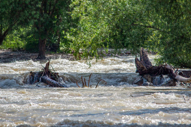 In summer, the Isar flooded in Munich. Current and driftwood in the water.