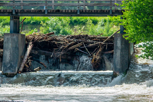 istock River Isar in flood in Munich in summer 2191319788