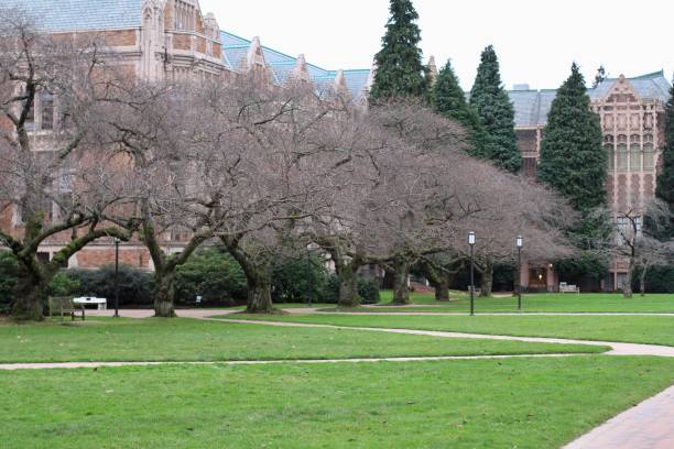 istock Campus of University of Washington 2191319883