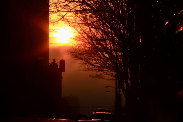 istock Sunset in Seattle's street 2191319953