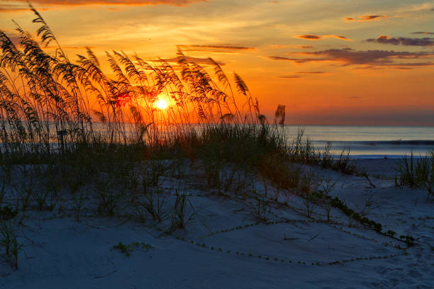 istock The sun rises above the dunes in Saint Augustine, Beach Florida ￼ 2191320499