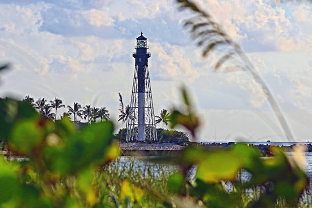 istock Hillsborough Inlet lighthouse shown through the mangroves 2191321167