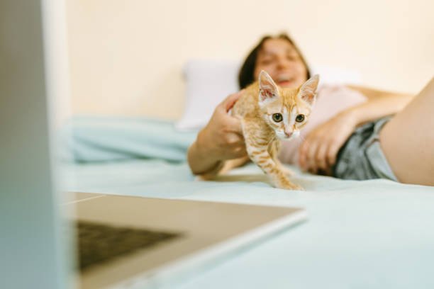 Playful ginger kitten explores its new home on a bed, captivating a teenage girl's attention