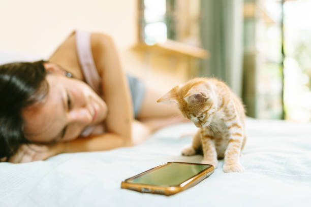 istock Kitten playing with smartphone while woman is lying on bed 2191322991