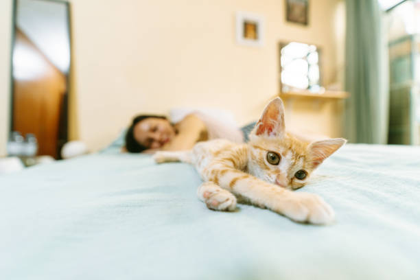 istock Playful ginger kitten relaxing on bed with owner 2191322995