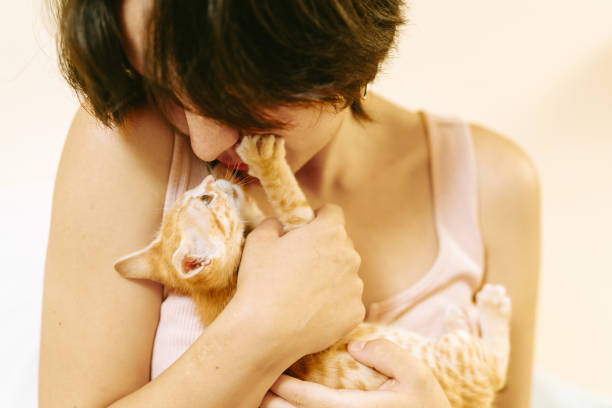 istock Young woman cuddling and playing with adorable kitten 2191323014