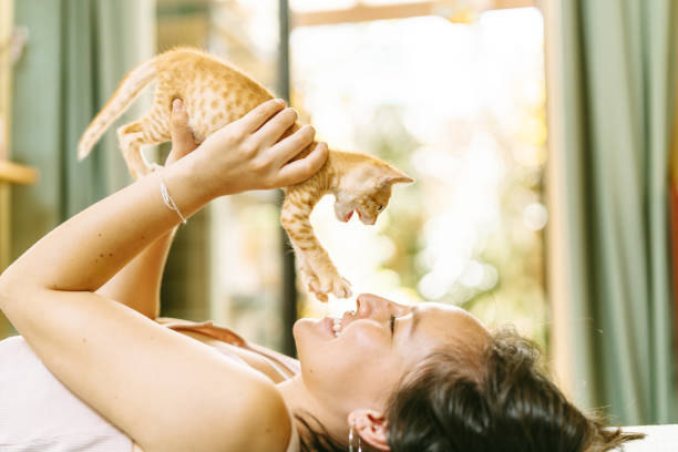 istock Young woman lying down and playing with kitten 2191323054