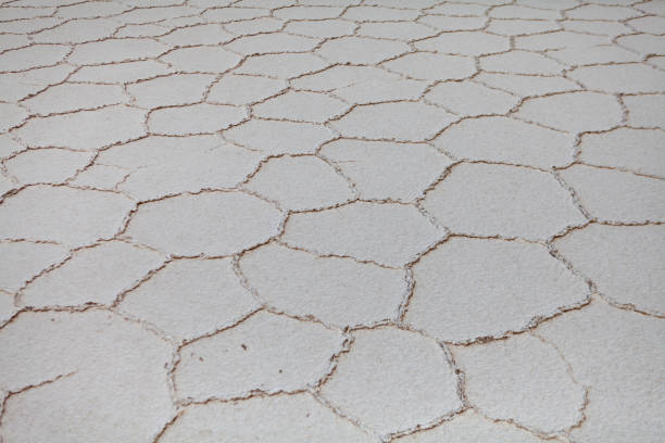 White salt salt covering ground creating unique textured surface with cracks in Tuz Golu, Turkey.