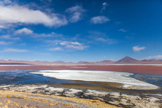 istock Laguna Colorada - Salar de Uyuni (Bolivia) 2191328014