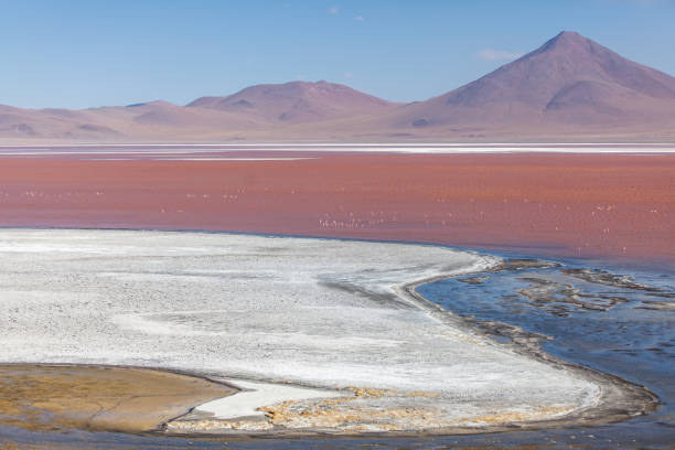 istock Laguna Colorada - Salar de Uyuni (Bolivia) 2191328028